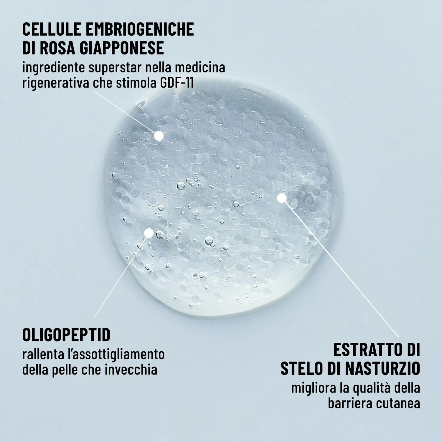 Brandt Dare to Age Siero Viso 30 ml Linee e Rughe