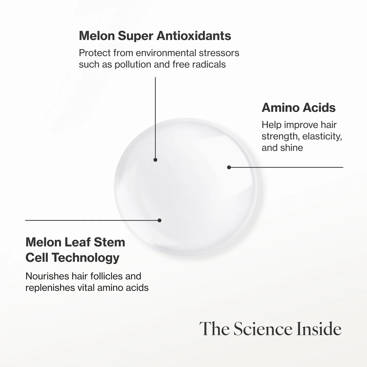 Meaningful Beauty Hair Restorative trattamento cuoio capelluto melone