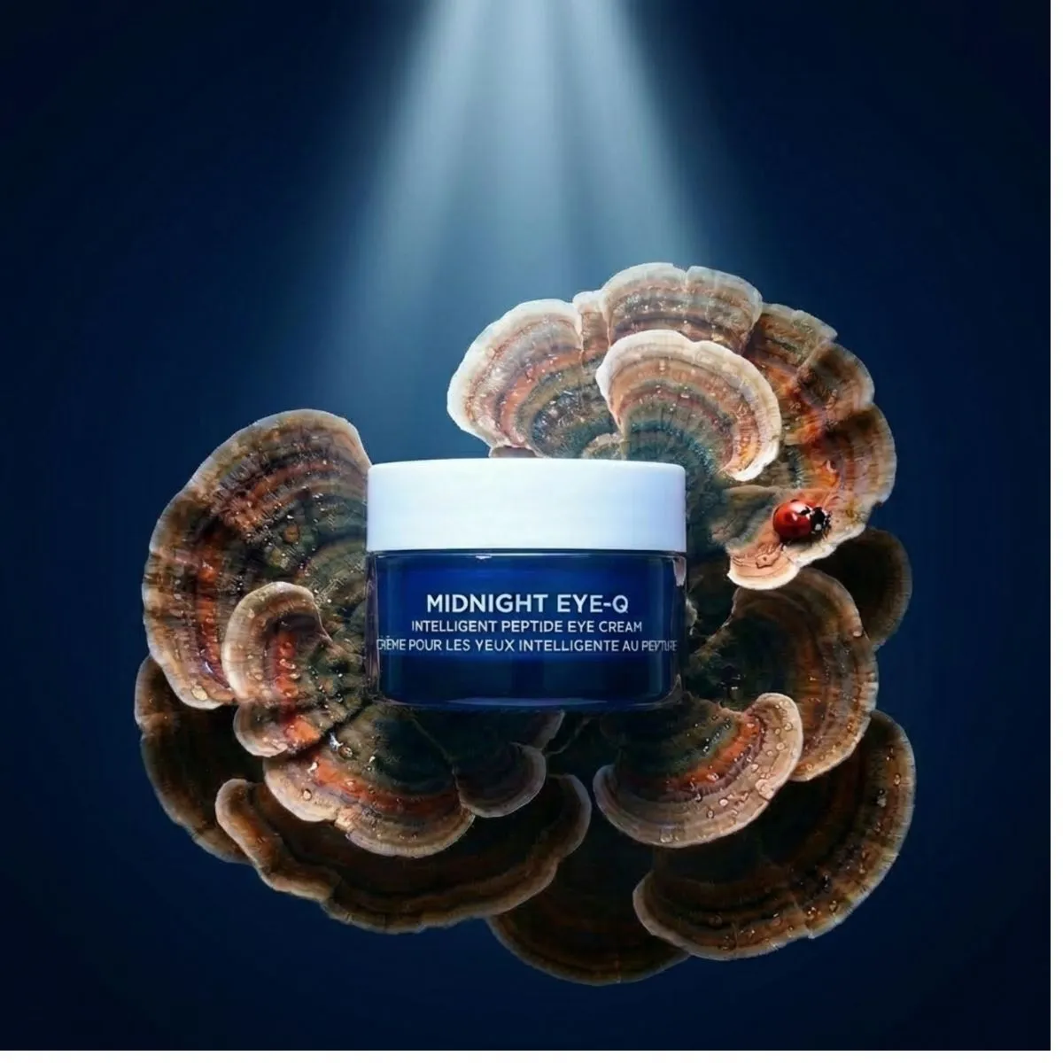 Oskia Midnight Eye-Q crema occhi notte 25ml antirughe