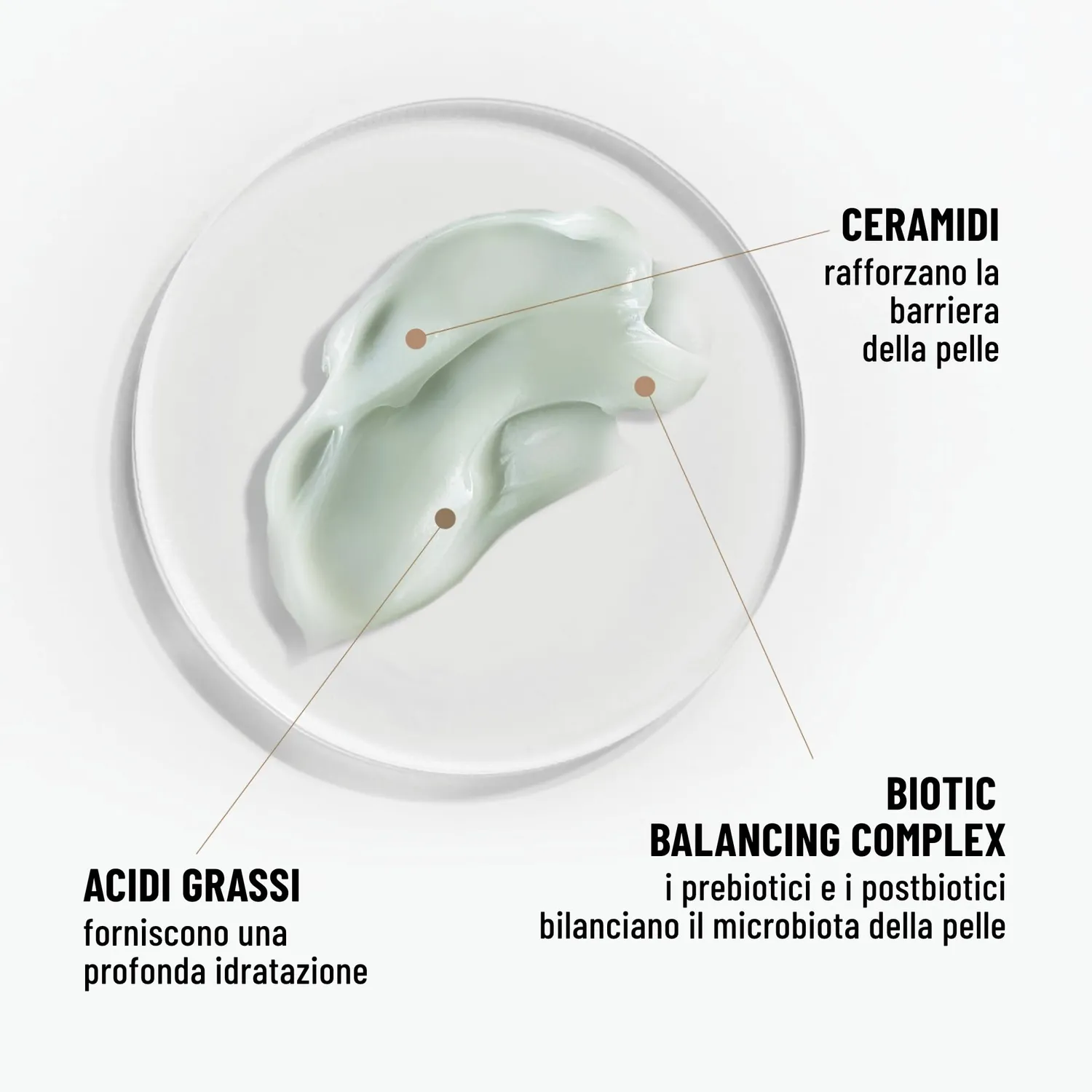 Brandt Hydro Biotic Recovery Sleeping Mask maschera notte 50 g idratante