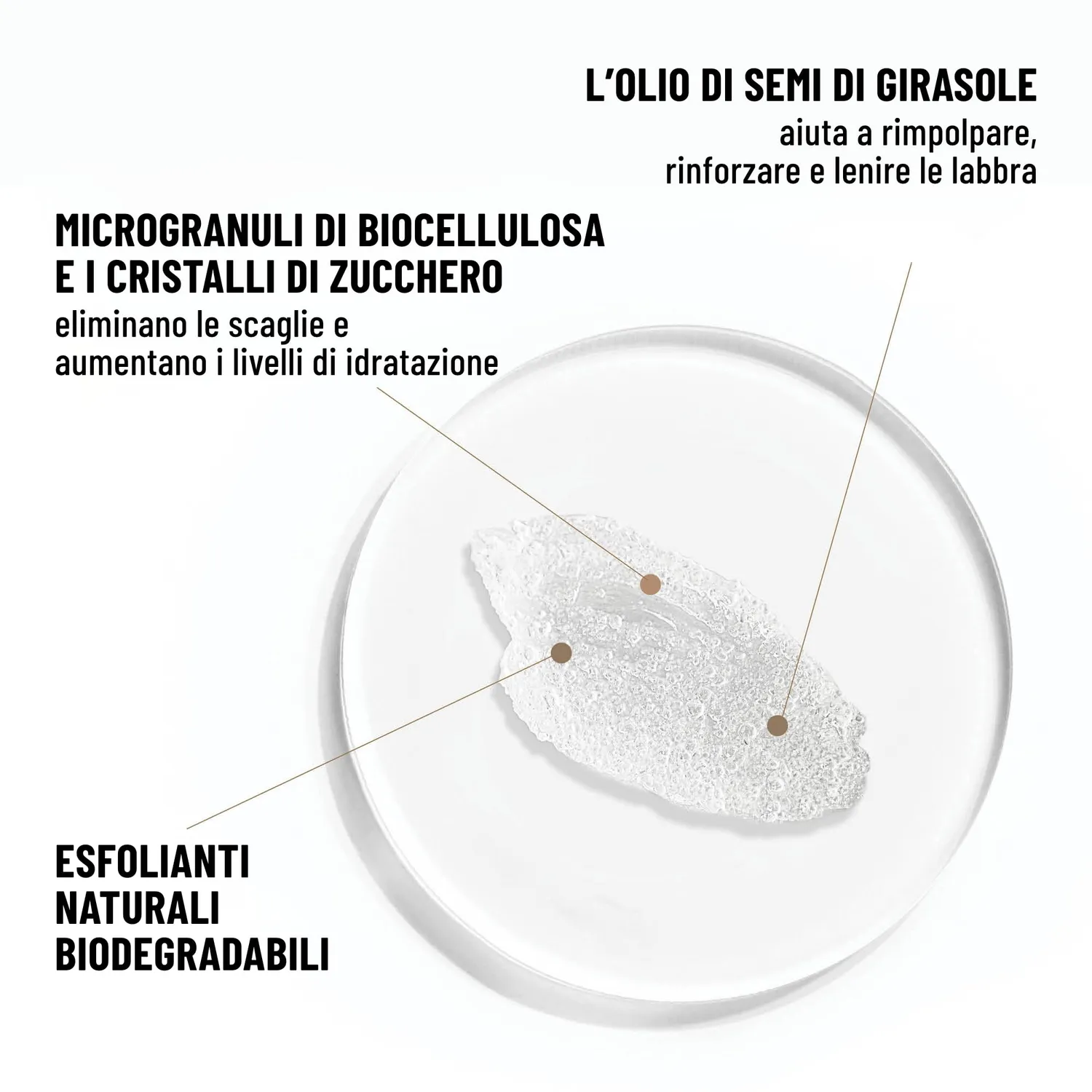 Dr. Brandt Microdermabrasion esfoliante labbra 10 g zucchero