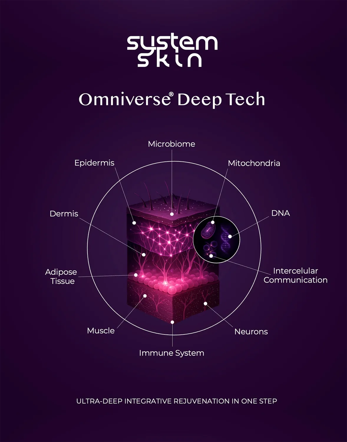 System Skin All-In-One Solution trattamento viso notte Large 3 mesi