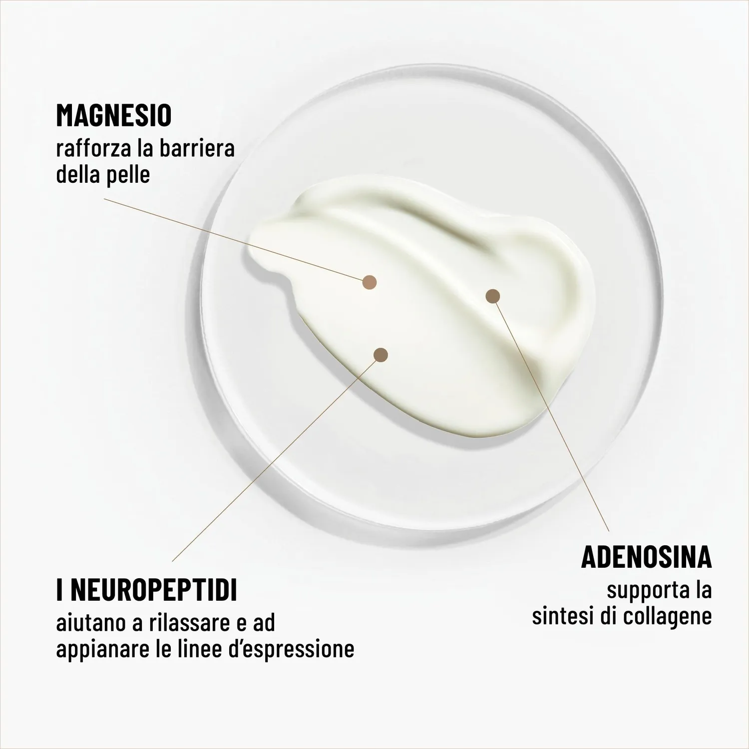 Brandt Needles No More Crema Levigante Rughe 15 g fronte